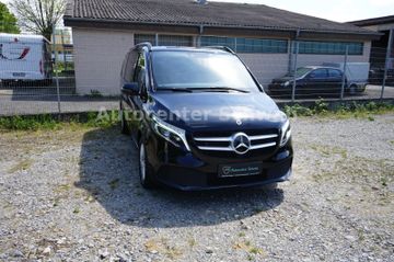 MB V 250